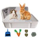Caixa de areia kathson Rabbit 28x19x15 cm Banheiro para animais pequenos Caixa de areia kathson Rabbit 28x19x15 cm Banheiro para animais pequenos