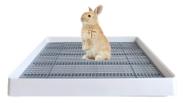 Caixa de areia PODOO Rabbit Guinea Pig Training Pan 56x46x7cm