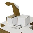 Caixa de armazenamento de cartas colecionáveis BCW 100 unidades x pacote de 50