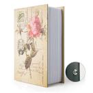 Caixa de armazenamento segura para livros de diversão PACOLO Dictionary Small