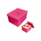 Caixa De Arrumação Multiuso Plástico Pequena Retangular 5UND