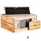 Caixa de criação profunda Beehive VEVOR 10 Frame Langstroth com Windows