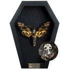 Caixa de exibição VINADECOR Death Head Moth 18x15x3 cm