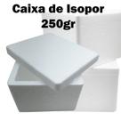 Caixa de isopor com 10 unid, 250gr ideal para viagem, sorvete e congelados Caixa de isopor com 10 unid, 250gr ideal para viagem, sorvete e congelados