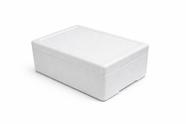 Caixa de Isopor Resistente 8,5 Lts Pescado E Frutos do Mar