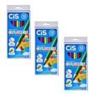Caixa De Lápis De Cor CIS Colorics Com 12 Cores Kit 3