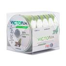 Caixa de Linha Multifilamento VICTORIA 4X - 500mt