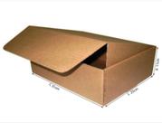Caixa De Papelão 31cmx25cmx11cm com 25unid