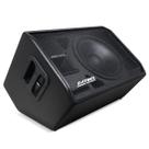 Caixa de Retorno Passiva Datrel 12 250W RMS Monitor Palco