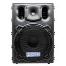 Caixa De Som Ativa 10 Polegadas Com 100w De Potência Usb Bluetooth MP3 Player Bivolt 2500A CSR