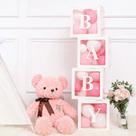 Caixa decoração BABY Chá de bebê e revelação Papilloo