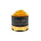 Caixa Decorativa Flower Box