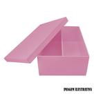 Caixa Mini Chandon Tampa de Sapato 1 Divisoria 25x15x8cm Mdf Madeira Pintado