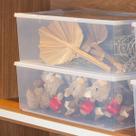Caixa Multiuso Up 32L Transparente Lisa Com Tampa Para Organizar Roupas, Acessórios e Utilidades