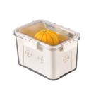 Caixa Organizador Tampa Hermética com Travas 23,5x14x16,5cm
