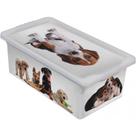 Caixa Organizadora 2,3 Litros Cães Branca - Or18l-06 - São Bernardo Caixa Org. Container 2,3l Caes Branca Or18l-06 Caixa Organizadora 2,3 Litros Cães Branca - Or18l-06 - São Bernardo Caixa Org. Container 2,3l Caes Branca Or18l-06