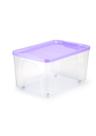 Caixa Organizadora Multiuso 60 L Cod.977 Agraplast com Tampa e Rodinhas Transparente