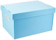 Caixa Organizadora The Best Box G 437X310X240 Azp