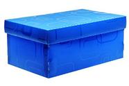 Caixa Organizadora Top Line Sapato 28X17X12Cm.Az