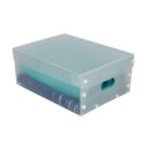Caixa Organizadora Translucida Para Sapatos E Chinelos 270 X 370 X 150 Mm