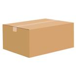 Caixa Papelão Para Postagens 21x16x11 10 Caixas