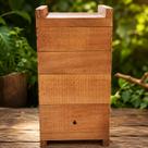 Caixa Para Abelhas Jataí, 12x12 Interno, Madeira de Pinus Tratada, Para Jataí, Mirim, Sem Ferrão Com 2 Melgueiras Modelo Inpa Em Madeira De Pinus Caixa Para Abelhas Jataí, 12x12 Interno, Madeira de Pinus Tratada, Para Jataí, Mirim, Sem Ferrão Com 2 Melgueiras Modelo Inpa Em Madeira De Pinus