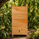 Caixa Para Abelhas Jataí, 12x12 Interno, Madeira de Pinus Tratada, Para Jataí, Mirim, Sem Ferrão Com 2 Melgueiras Modelo Inpa Em Madeira De Pinus Caixa Para Abelhas Jataí, 12x12 Interno, Madeira de Pinus Tratada, Para Jataí, Mirim, Sem Ferrão Com 2 Melgueiras Modelo Inpa Em Madeira De Pinus