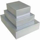 Caixa para Presente com Tampa MD 26X19X7,5 Prata PCT com 05
