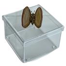 Caixa porta objetos em acrilico 14x14x10 borboleta agata marrom