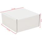 Caixa Quadrada Básica Com 50 Unidades Embalagens 12.5cm X 06cm Caixa Quadrada Básica Com 50 Unidades Embalagens 12.5cm X 06cm