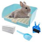 Caixa sanitária kathson Bandeja grande para animais de estimação com grade 44x34x18 cm