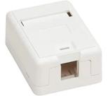 Caixa Sobrepor Para Keystone 1 Saída Fêmea Rj45 Rj11 Branco Caixa Sobrepor Para Keystone 1 Saída Fêmea Rj45 Rj11 Branco