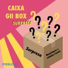 Caixa SURPRESA Gii Box maquiagem e cuidado facial (ler a descrição)