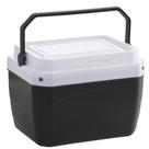 Caixa Térmica Cooler Com Alça Praia Bebida Latinha 6 Litros