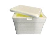 Caixa Térmica De Isopor 28 Litros Sorvete Refrigerante