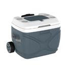 Caixa Térmica Everest 30L Cinza