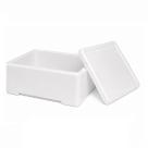 Caixa Térmica Isopor 13kg Retangular c/ Tampa Alimento Frio
