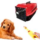 Caixa Transporte Cachorro Médio N3 + Mordedor Galinha 16cm
