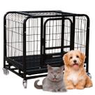 Caixa Transporte Cães Gaiola Cachorro Gato Pet Canil Pet Shop Seguro XG