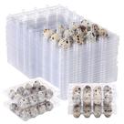 Caixas de ovos de codorna Layhyand Square Dozen 60 unidades de plástico