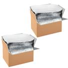 Caixas de transporte isoladas Simple Deluxe, pacote com 2 unidades com forro, 12x10x7