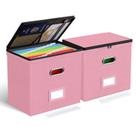 Caixas organizadoras de arquivos Oterri Small 31x21x30 cm, pacote com 2 caixas, rosa Caixas organizadoras de arquivos Oterri Small 31x21x30 cm, pacote com 2 caixas, rosa