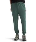 Calça de corrida THE NORTH FACE Core para homens verde pato/preta TNF