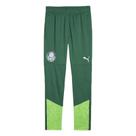 Calça de treino puma palmeiras 2024 masculina