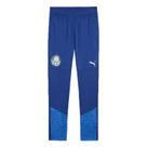 Calça De Treino Puma Palmeiras 2024 Masculina