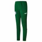 Calça Masculina Palmeiras Treino Track Ftblarchive Verde 2024