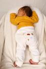 Calça Mijão Bebê Bordado de Corujinha - Pé de Amor Calça Mijão Bebê Bordado de Corujinha - Pé de Amor