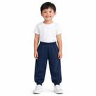 Calça Moletom Peluciada Algodão Infantil Juvenil 4 ao 16
