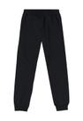 Calça Moletom Preta Jogger Menino Brandili