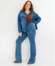 Calça Plus Size Feminina Flare Jeans Azul